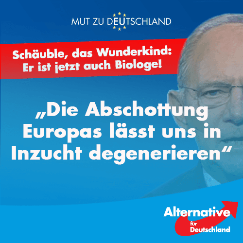 13413683_1158682487495422_1771560483111187269_n